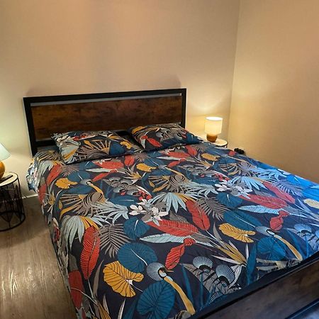 Residence Bois Du Bouchet, Appartement Vue Montagne, Calme, Parking Gratuit, Proche Centre Chamonix Ngoại thất bức ảnh