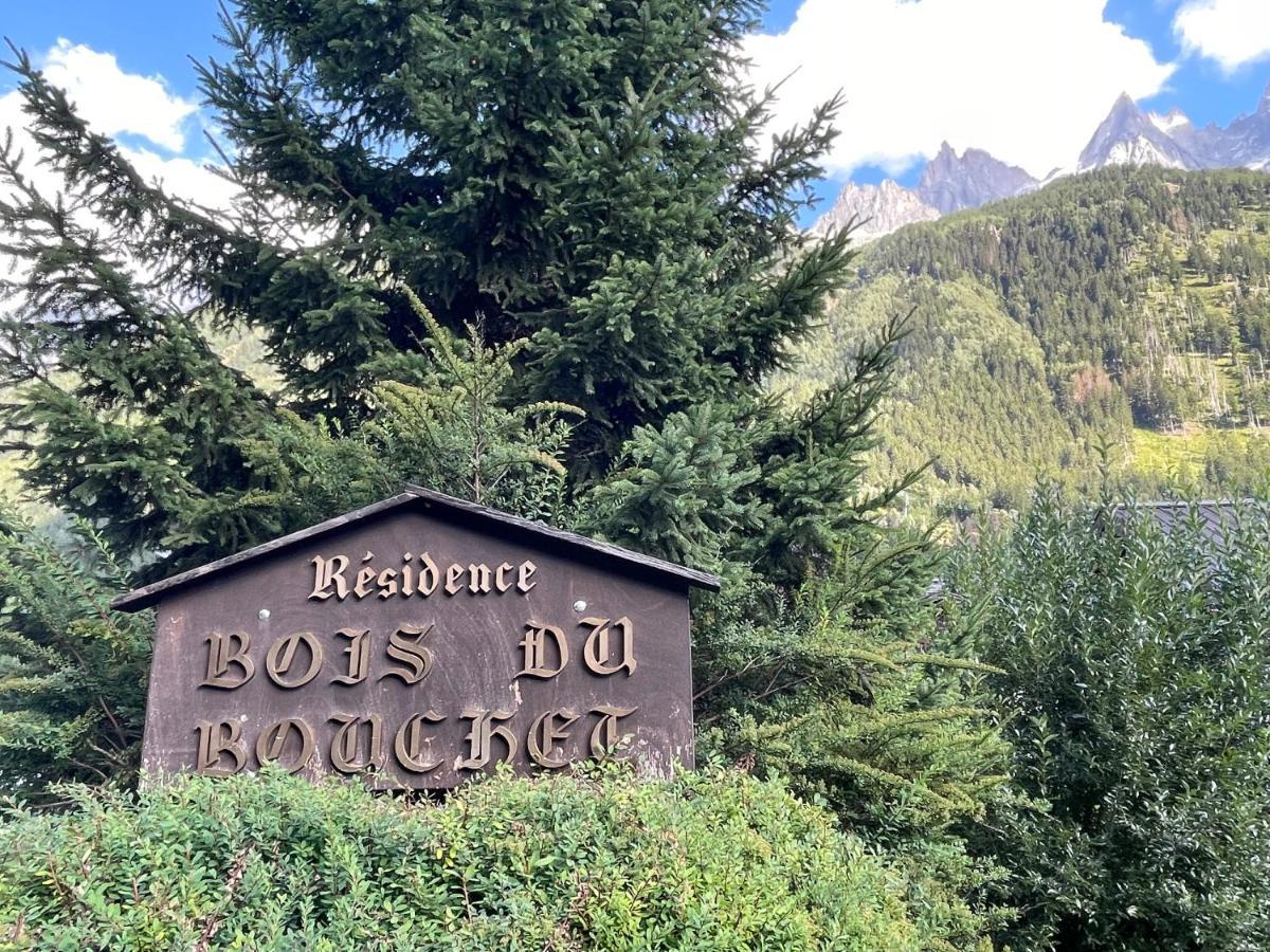 Residence Bois Du Bouchet, Appartement Vue Montagne, Calme, Parking Gratuit, Proche Centre Chamonix Ngoại thất bức ảnh