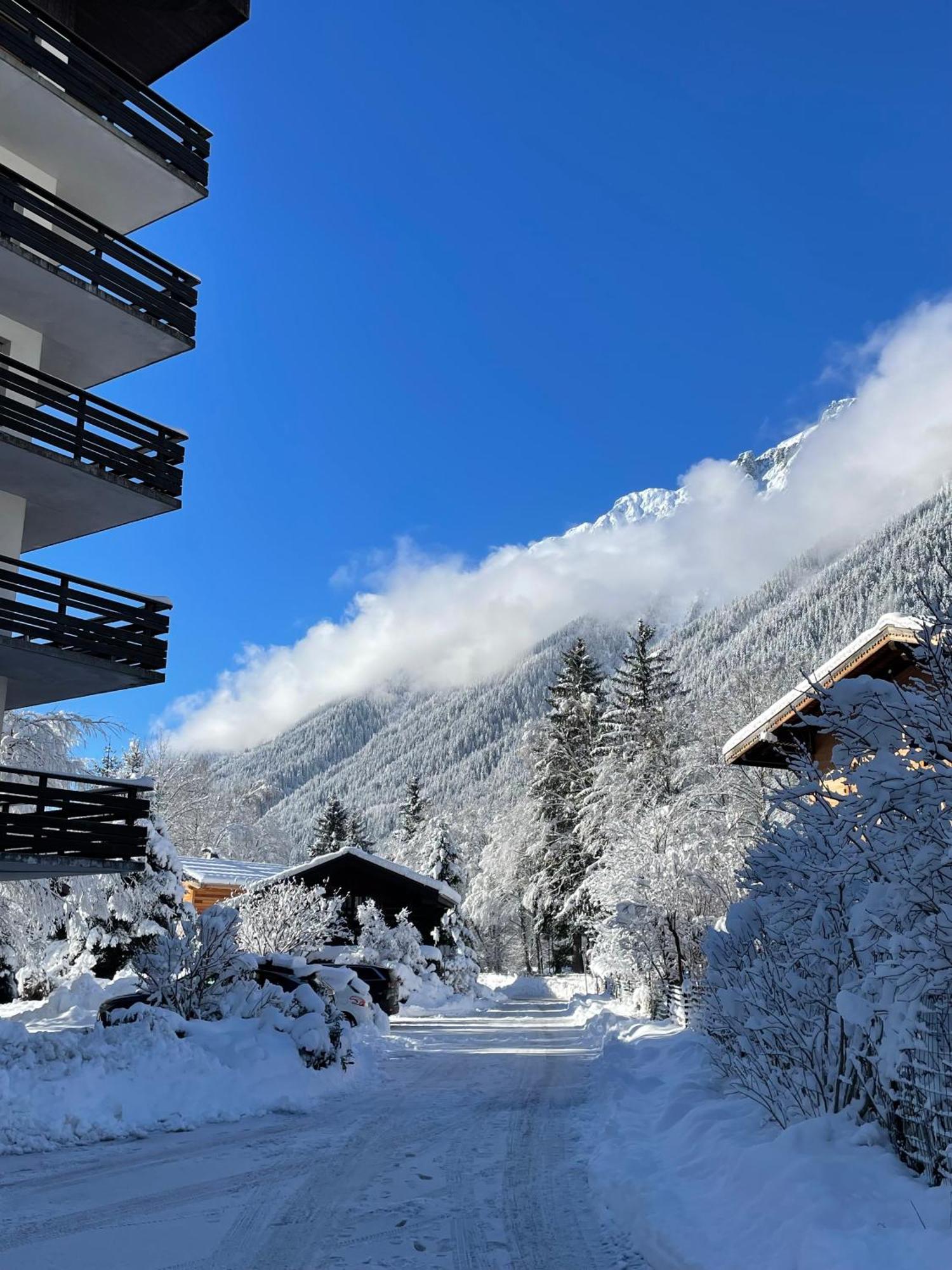 Residence Bois Du Bouchet, Appartement Vue Montagne, Calme, Parking Gratuit, Proche Centre Chamonix Ngoại thất bức ảnh