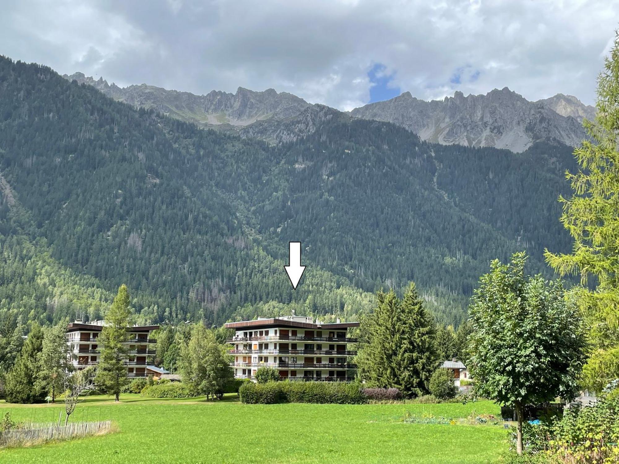Residence Bois Du Bouchet, Appartement Vue Montagne, Calme, Parking Gratuit, Proche Centre Chamonix Ngoại thất bức ảnh